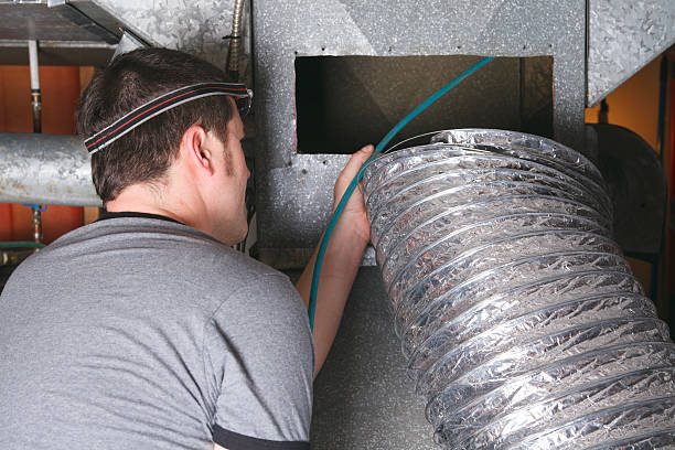 Best Air Duct Mold Removal  in Hawthorn Woods, IL